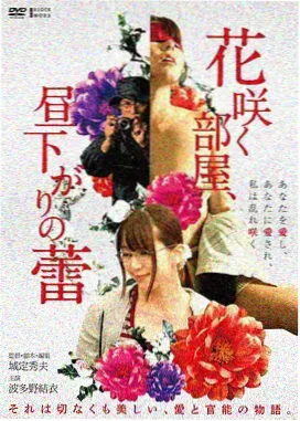 纪录片素材包条目封面